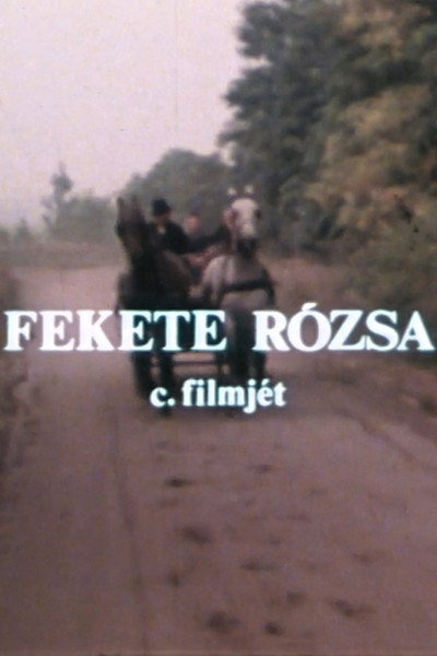 Póster de Fekete rózsa