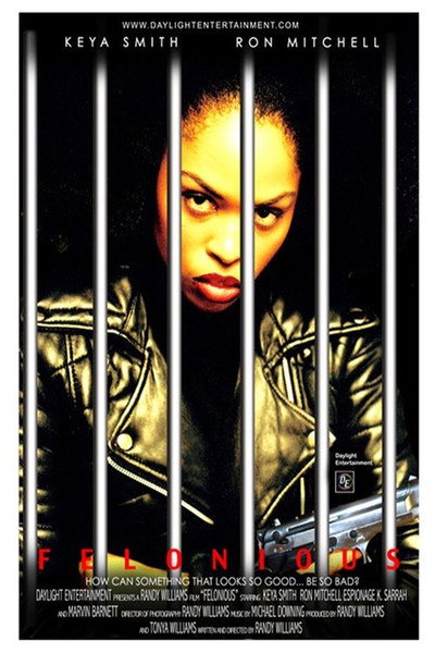 Póster de Felonious