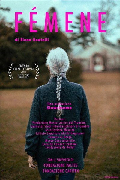 Póster de Fémene