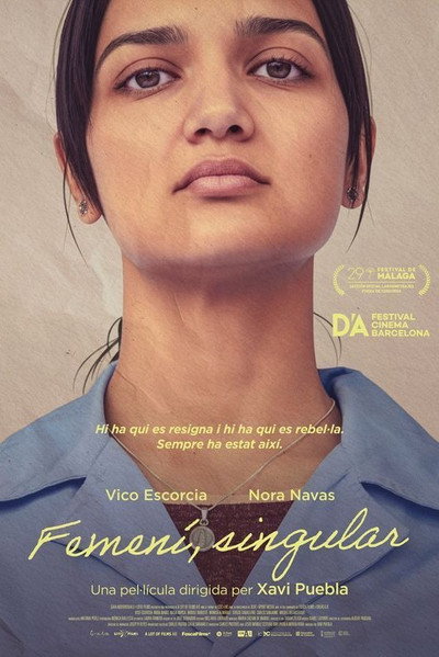 Póster de Femenino, singular
