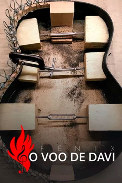 Póster de Fênix: O Voo de Davi