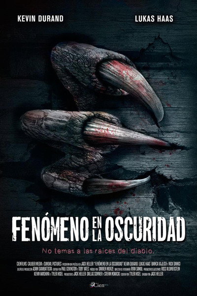 Póster de Fenómeno en la oscuridad
