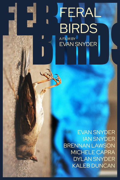 Póster de Feral Birds