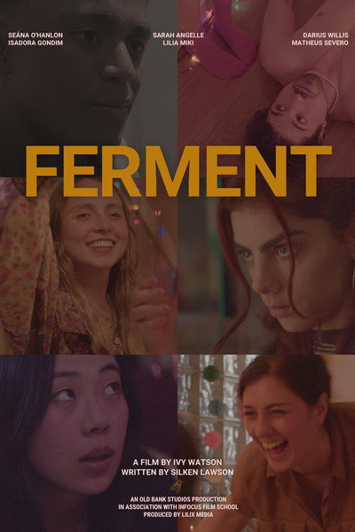 Póster de Ferment