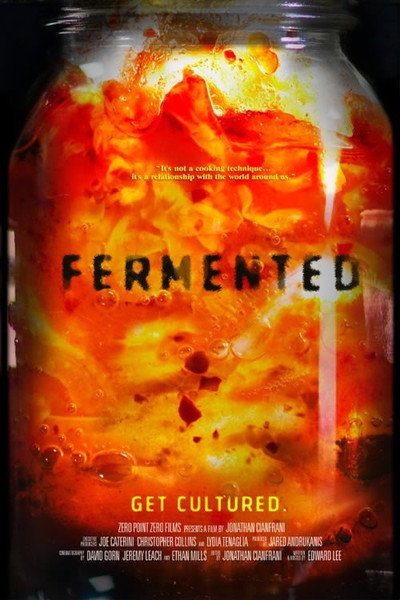 Póster de Fermented