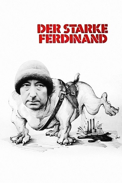 Póster de Fernando el radical