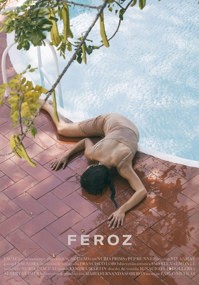 Póster de Feroz