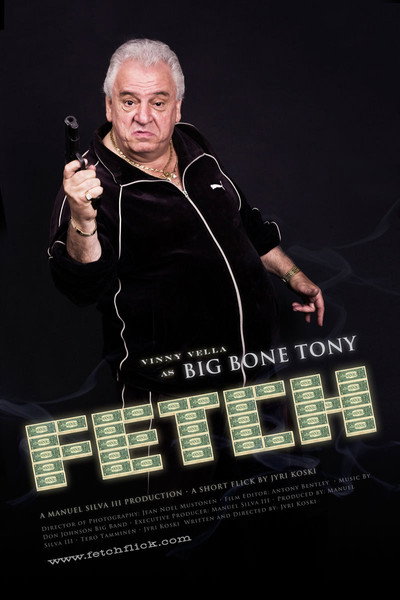 Póster de Fetch