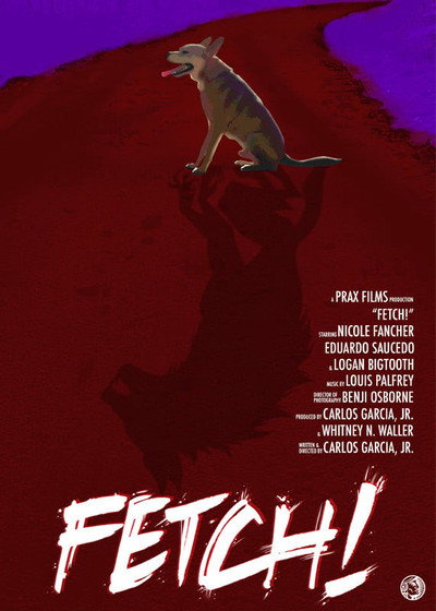 Póster de Fetch!
