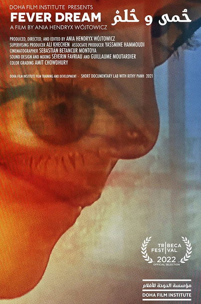Póster de Fever Dream