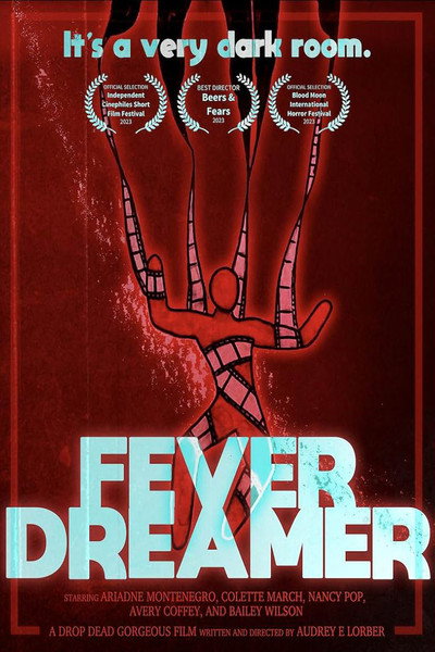 Póster de Fever Dreamer