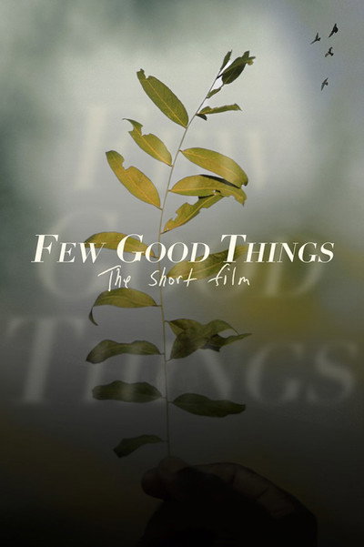 Póster de Few Good Things