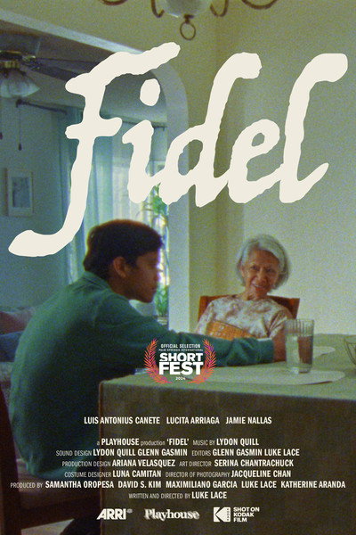 Póster de Fidel