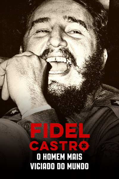 Póster de Fidel Castro en la Mira