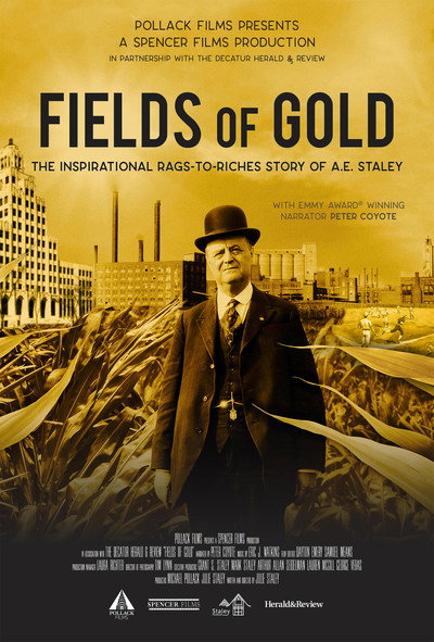 Póster de Fields of Gold