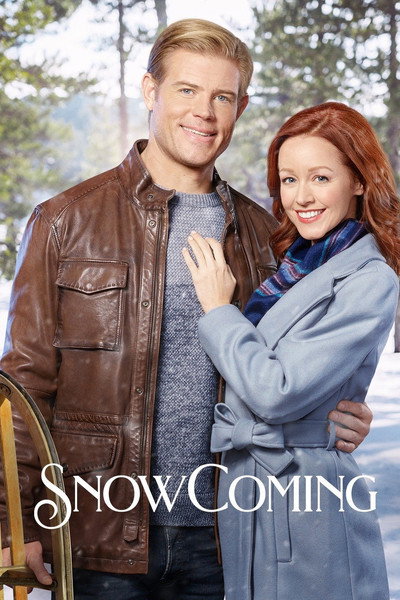 Póster de Fiesta de la nieve