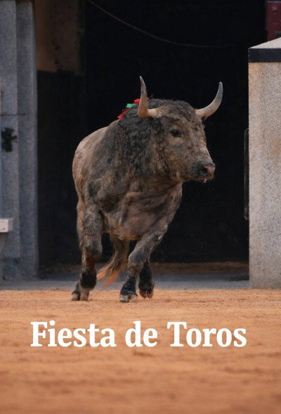 Póster de Fiesta de toros