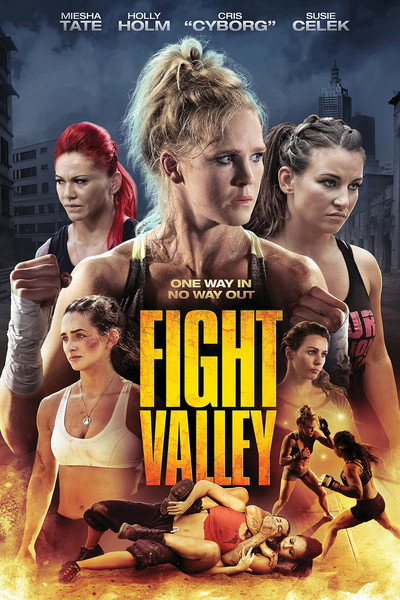 Póster de Fight Valley