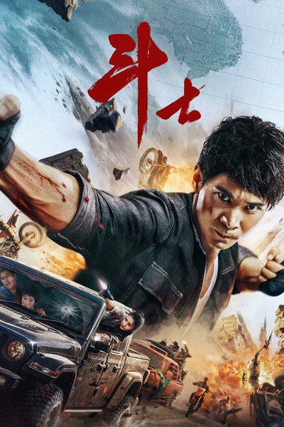 Póster de Fighter