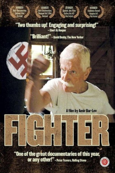 Póster de Fighter