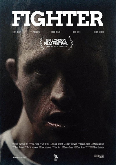 Póster de Fighter