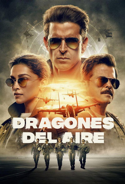 Póster de Fighter