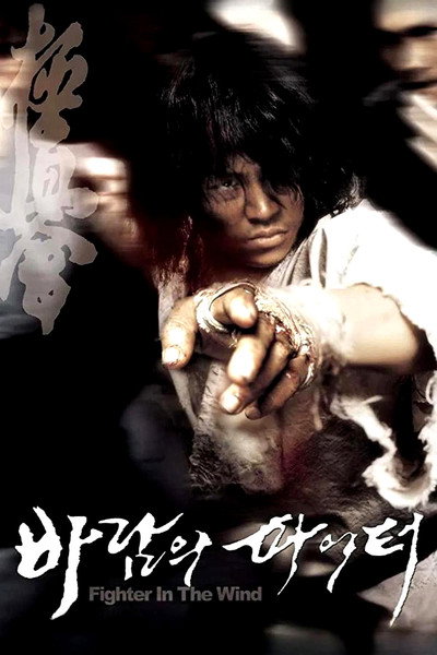 Póster de Fighter in the Wind: Lucha o muere