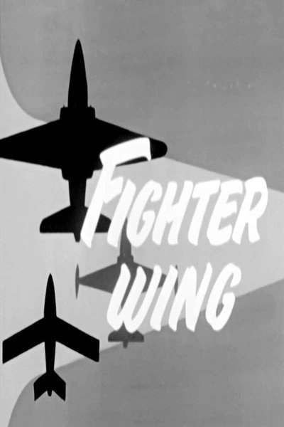 Póster de Fighter Wing