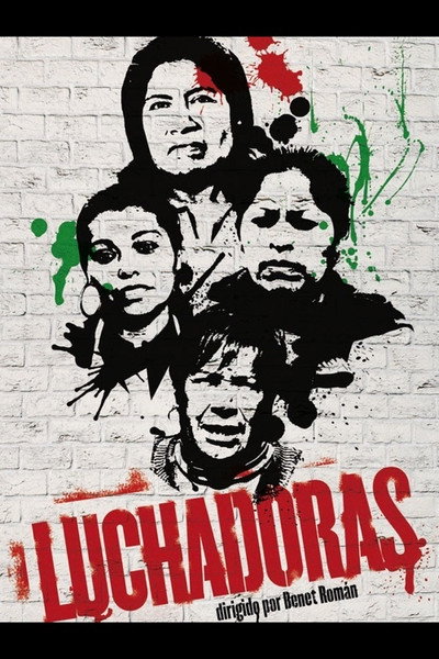 Póster de Fighters
