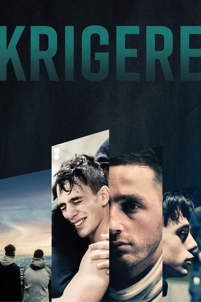 Póster de Fighters