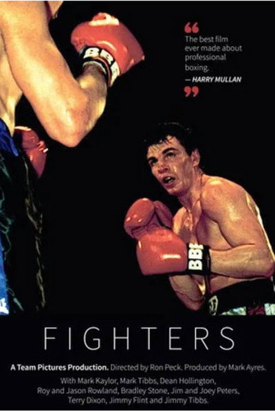 Póster de Fighters
