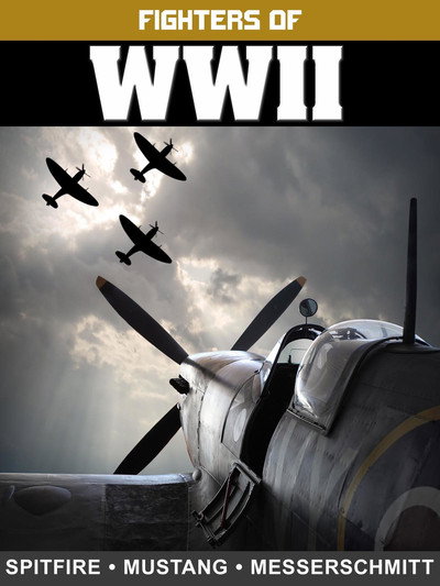 Póster de Fighters of WWII: Spitfire, Mustang, and Messerschmitt
