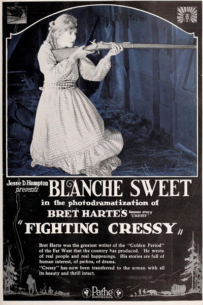 Póster de Fighting Cressy