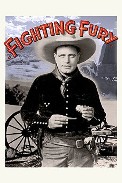 Póster de Fighting Fury