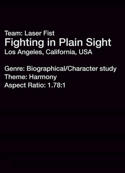 Póster de Fighting in Plain Sight