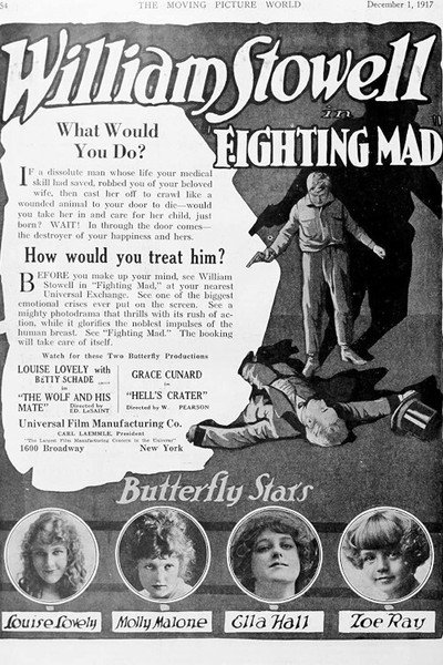 Póster de Fighting Mad