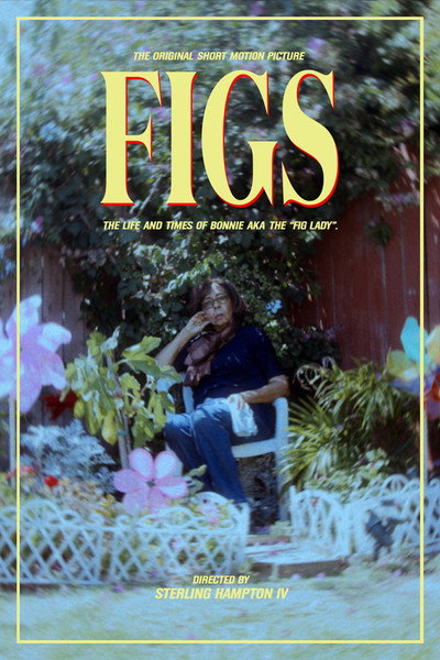 Póster de Figs