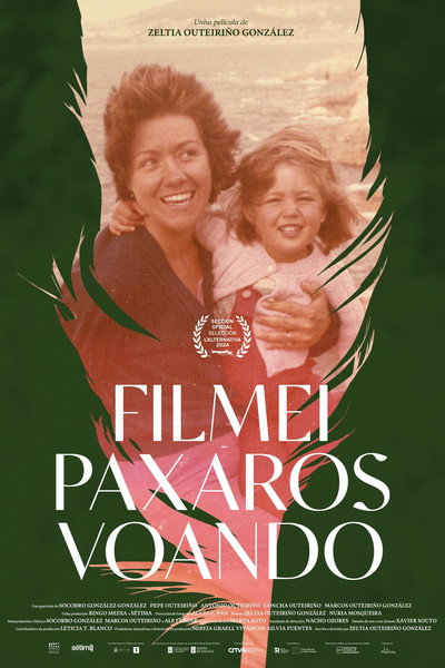 Póster de Filmei paxaros voando