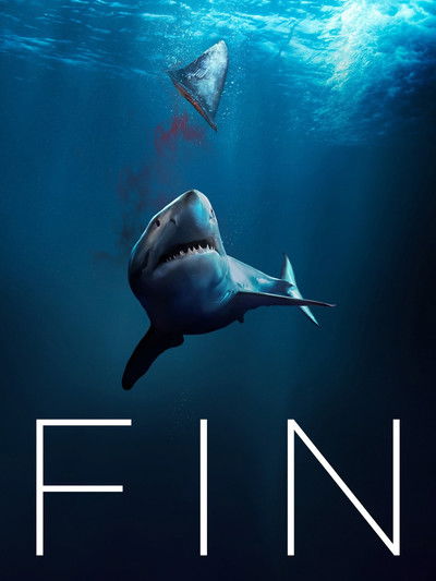Póster de Fin