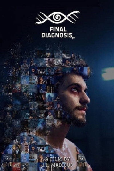 Póster de Final Diagnosis
