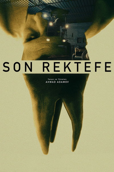 Póster de Final Repair