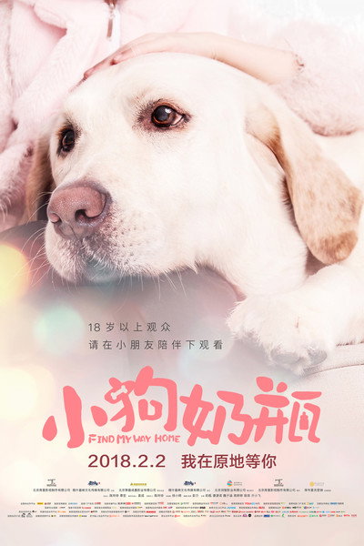 Póster de Find My Way Home