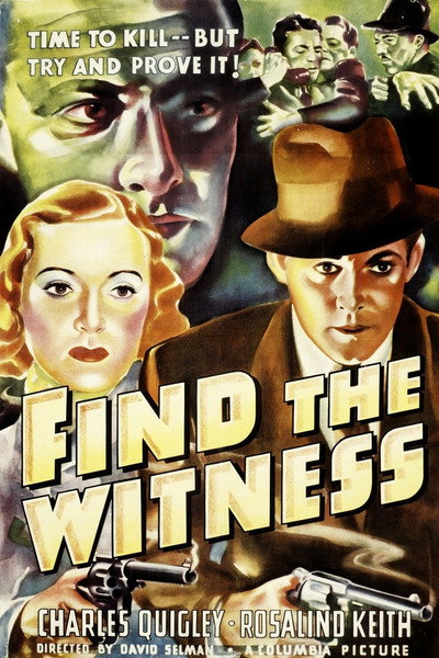 Póster de Find the Witness
