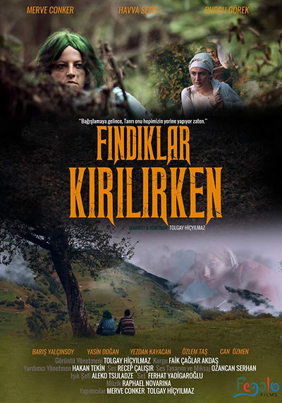 Póster de Findiklar Kirilirken