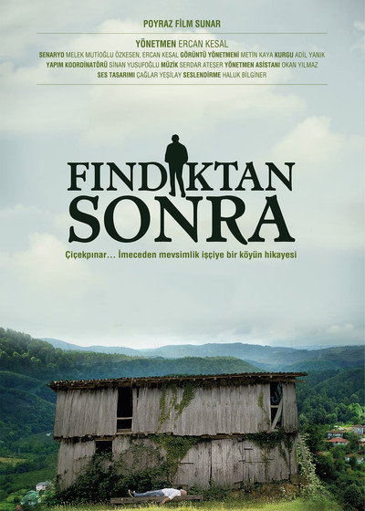 Póster de Findiktan Sonra