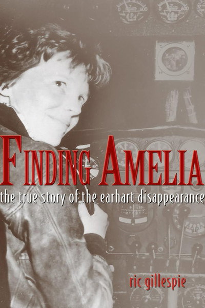 Póster de Finding Amelia