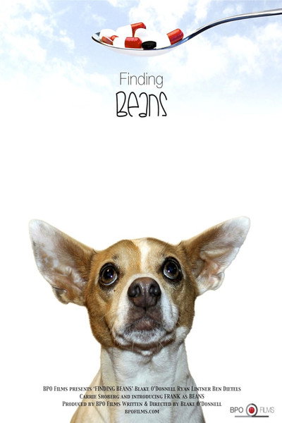 Póster de Finding Beans