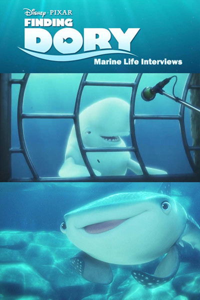 Póster de Finding Dory: Marine Life Interviews