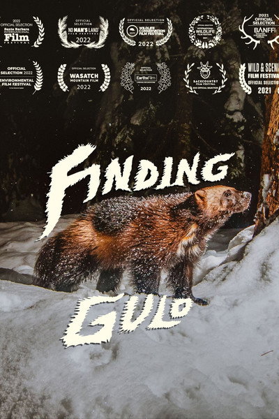 Póster de Finding Gulo