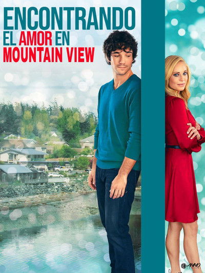 Póster de Finding Love in Mountain View